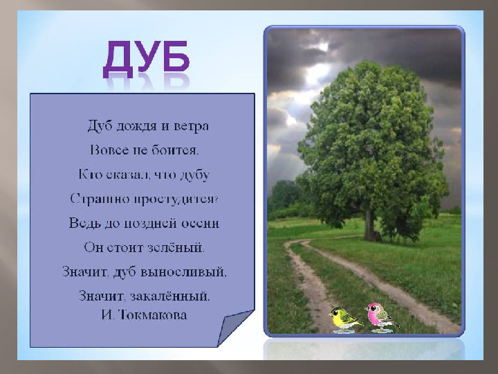 Презентация к НОД по познавательному развитию "Природа родного края"