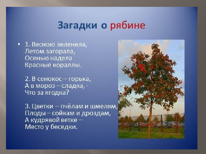 Презентация к НОД по познавательному развитию "Природа родного края"