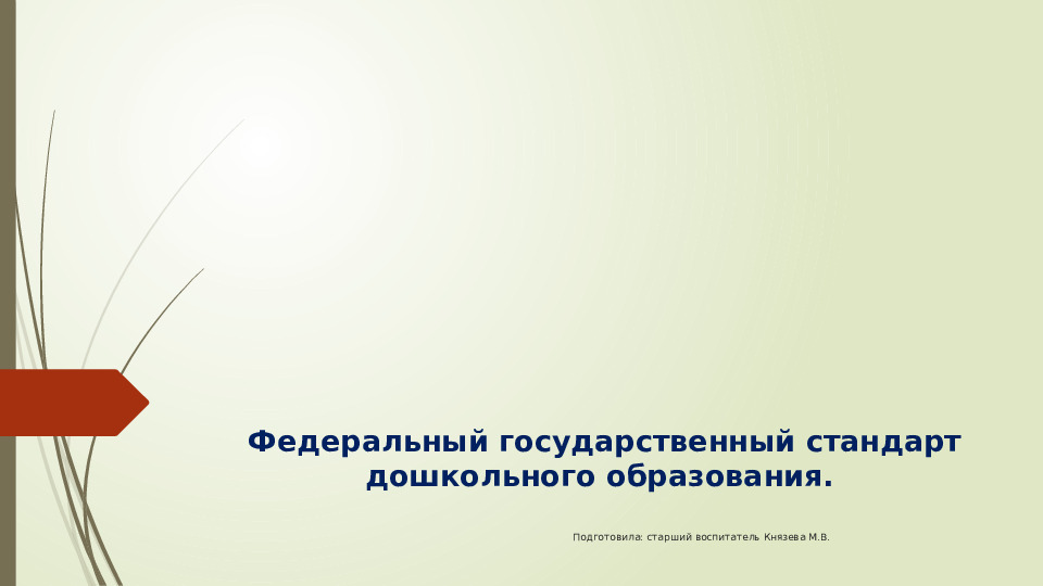 Презентация Федеральный государственный стандарт дошкольного образования