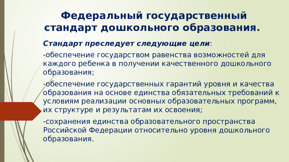 Презентация Федеральный государственный стандарт дошкольного образования