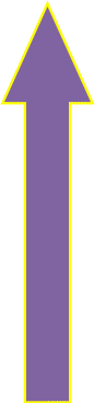 Shape8