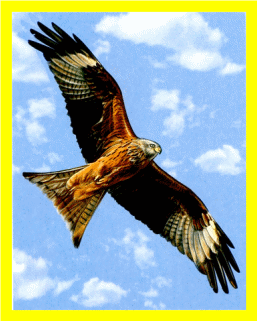 Picture 22