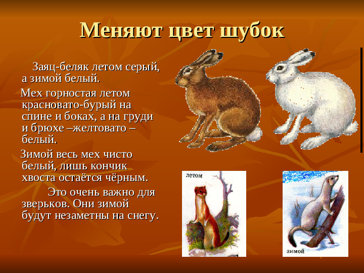 ПРЕЗЕНТАЦИЯ по ознакомлению с окружающим миром "Как животные готовятся к зиме"