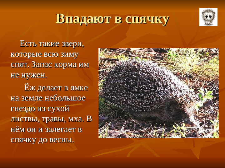 ПРЕЗЕНТАЦИЯ по ознакомлению с окружающим миром "Как животные готовятся к зиме"