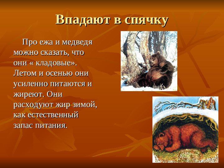 ПРЕЗЕНТАЦИЯ по ознакомлению с окружающим миром "Как животные готовятся к зиме"
