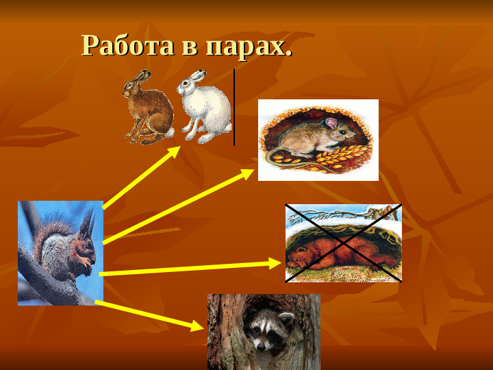 ПРЕЗЕНТАЦИЯ по ознакомлению с окружающим миром "Как животные готовятся к зиме"