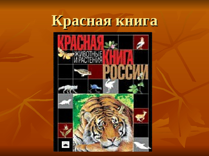 ПРЕЗЕНТАЦИЯ по ознакомлению с окружающим миром "Как животные готовятся к зиме"