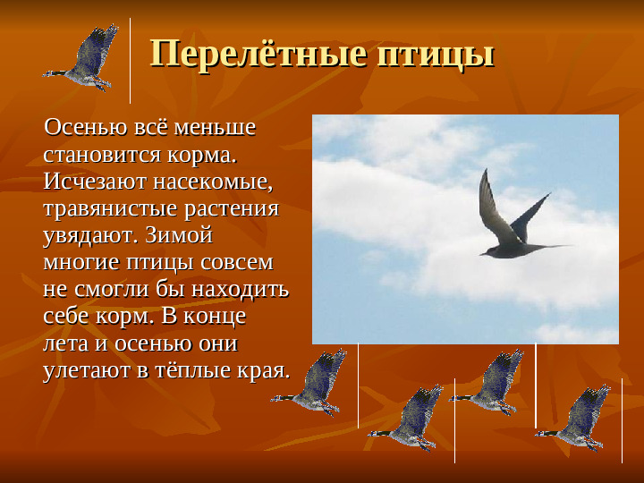 ПРЕЗЕНТАЦИЯ по ознакомлению с окружающим миром "Как животные готовятся к зиме"
