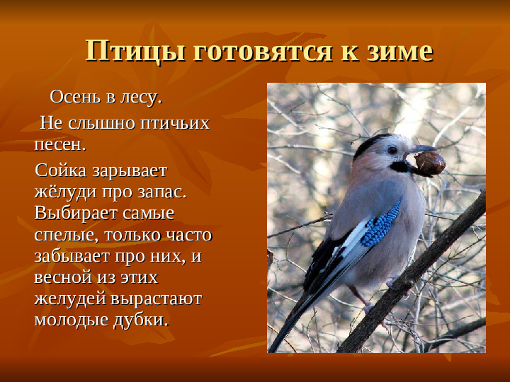 ПРЕЗЕНТАЦИЯ по ознакомлению с окружающим миром "Как животные готовятся к зиме"