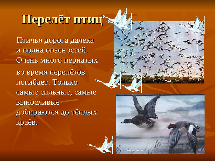 ПРЕЗЕНТАЦИЯ по ознакомлению с окружающим миром "Как животные готовятся к зиме"