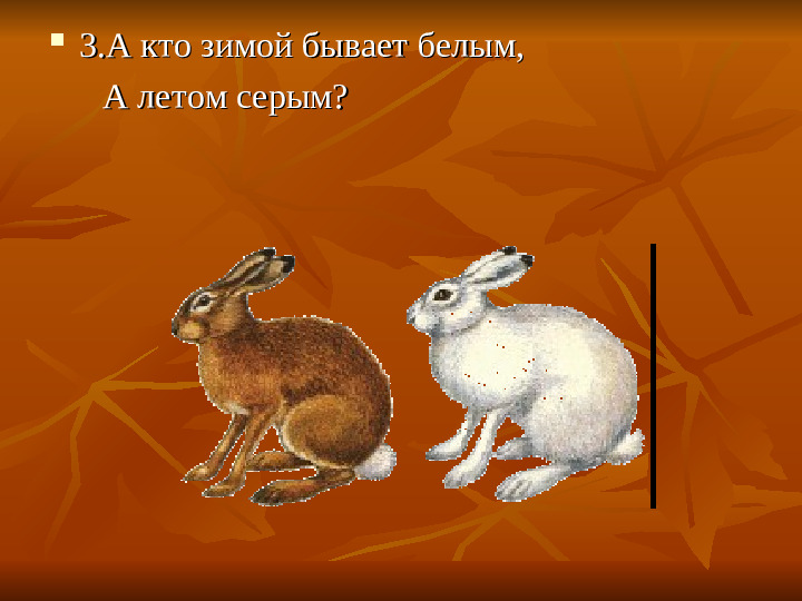 ПРЕЗЕНТАЦИЯ по ознакомлению с окружающим миром "Как животные готовятся к зиме"