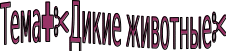 Shape26