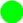 Shape55