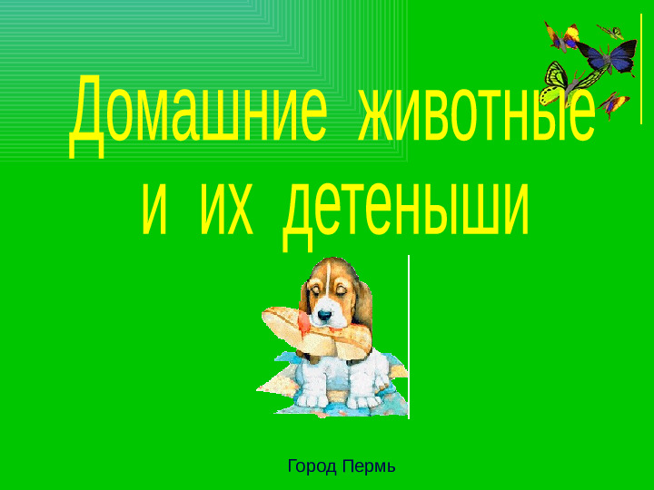 Презентация на тему "Домашние животные и их детеныши"