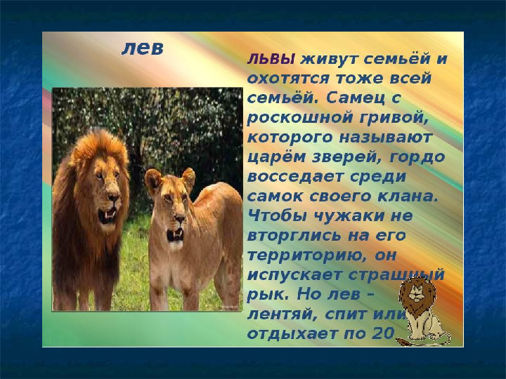 Презентация на тему "Образ жизни животных разных континентов"