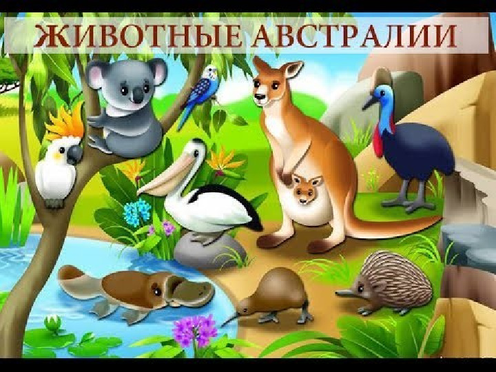 Презентация на тему "Образ жизни животных разных континентов"