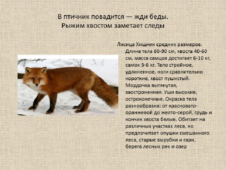 Презентация на тему "Образ жизни животных разных континентов"