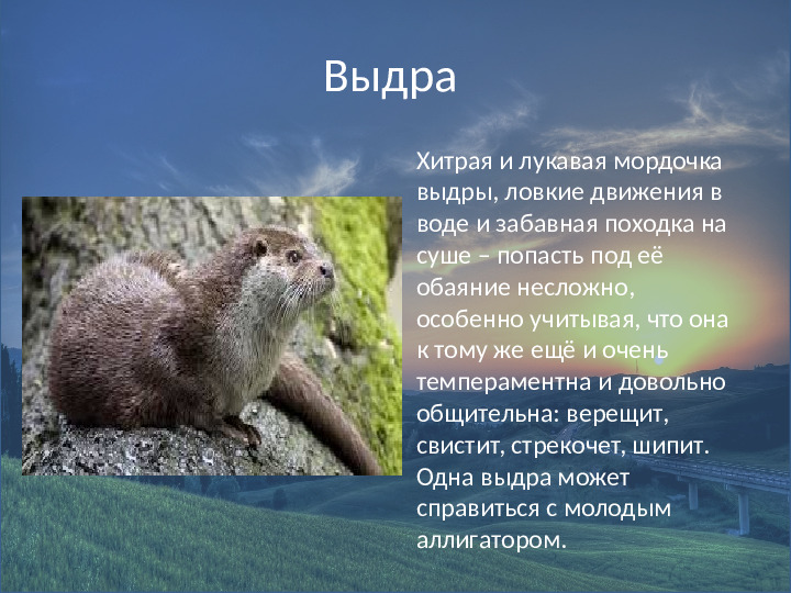 Внеклассное мероприятие по экологическому воспитанию детей седней группы