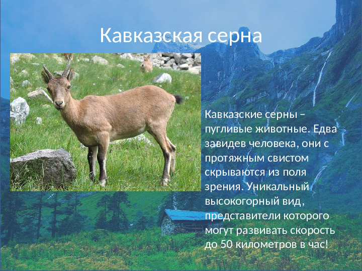 Внеклассное мероприятие по экологическому воспитанию детей седней группы