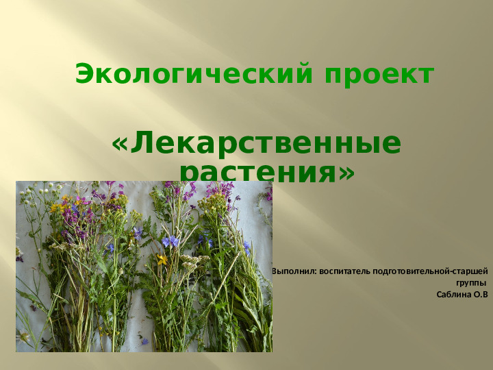 Презентация по экологии на тему "Лекарственные растения" (подготовительная группа)
