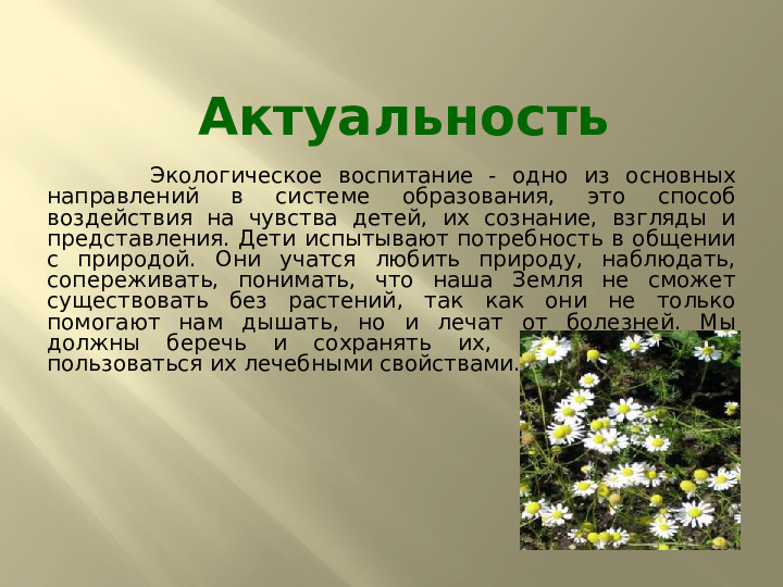Презентация по экологии на тему "Лекарственные растения" (подготовительная группа)