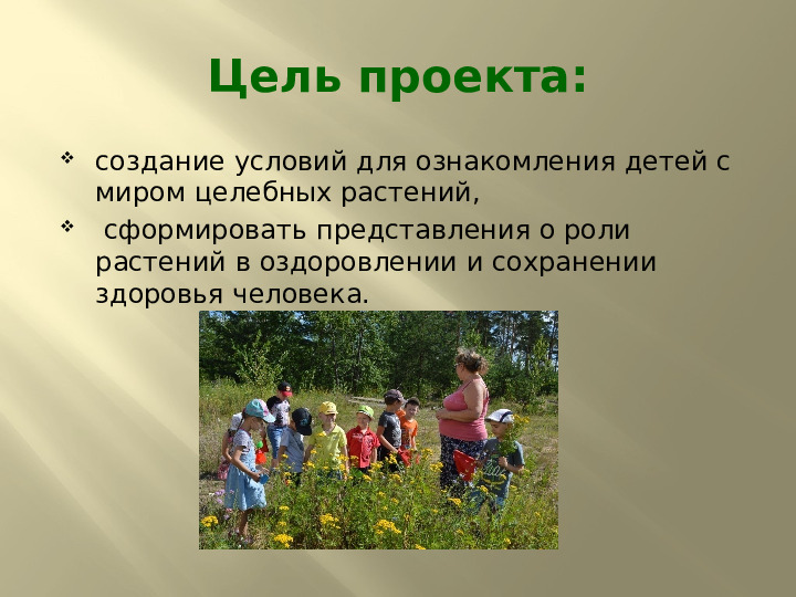 Презентация по экологии на тему "Лекарственные растения" (подготовительная группа)