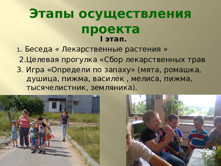 Презентация по экологии на тему "Лекарственные растения" (подготовительная группа)