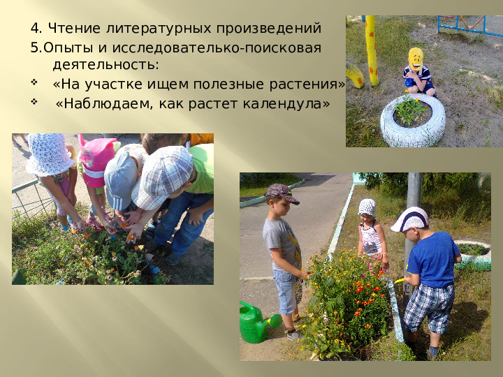 Презентация по экологии на тему "Лекарственные растения" (подготовительная группа)