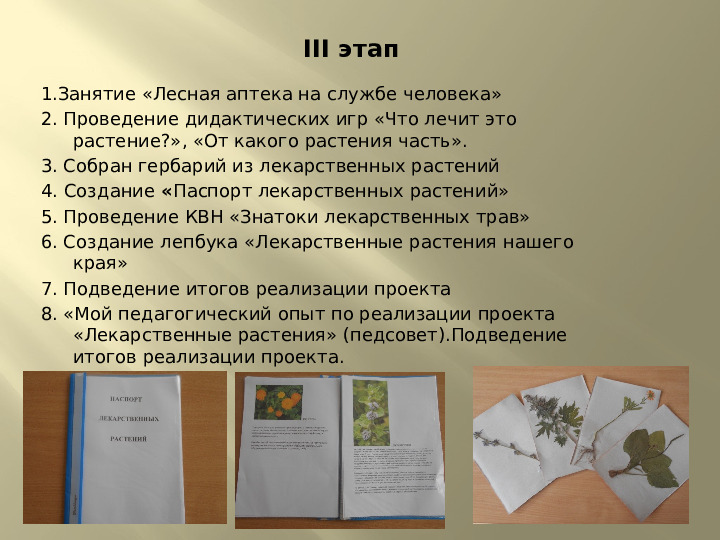 Презентация по экологии на тему "Лекарственные растения" (подготовительная группа)