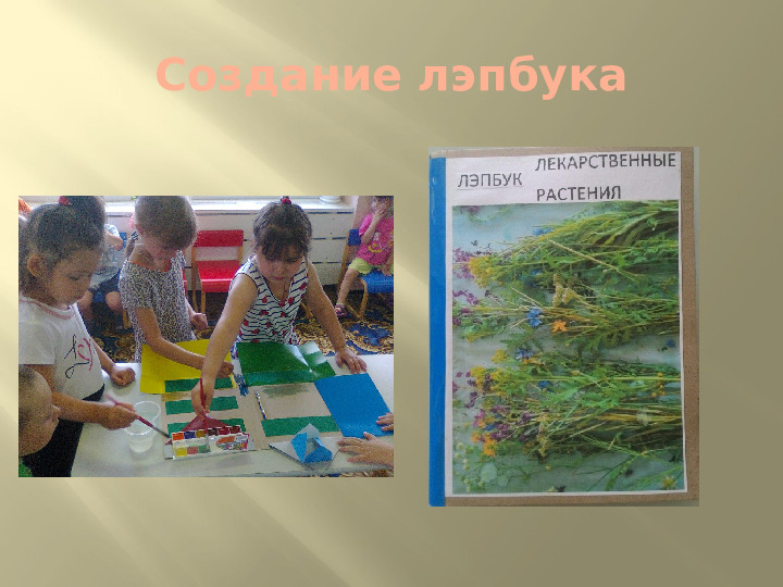 Презентация по экологии на тему "Лекарственные растения" (подготовительная группа)