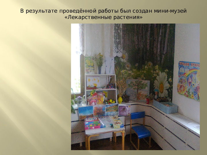 Презентация по экологии на тему "Лекарственные растения" (подготовительная группа)