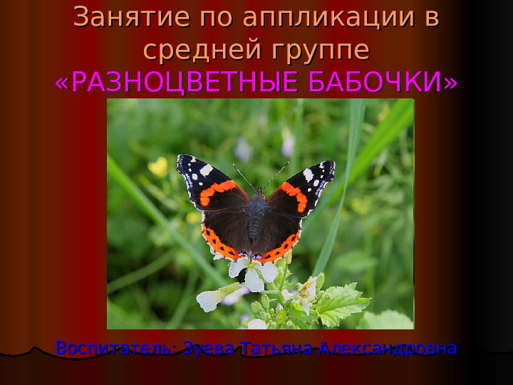 Презентация занятия по аппликации "Разноцветные бабочки"