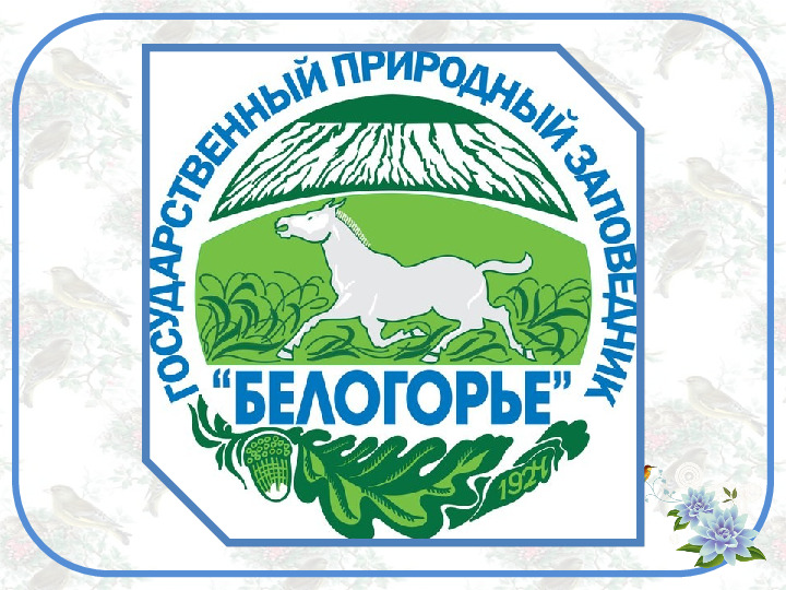 Презентация по познавательному развитию на тему "Заповедник Белогорье" (старший дошкольный возраст)