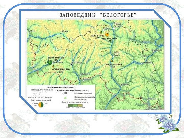 Презентация по познавательному развитию на тему "Заповедник Белогорье" (старший дошкольный возраст)