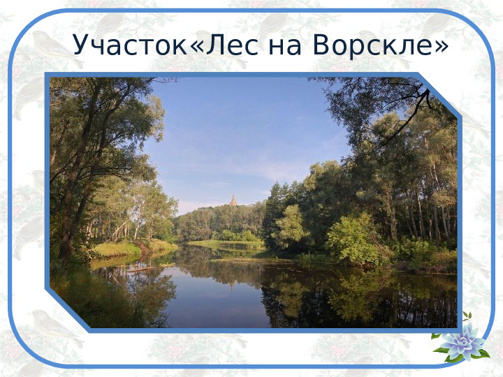 Презентация по познавательному развитию на тему "Заповедник Белогорье" (старший дошкольный возраст)