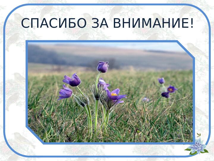 Презентация по познавательному развитию на тему "Заповедник Белогорье" (старший дошкольный возраст)