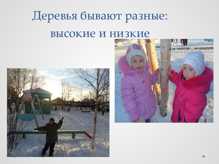 Проект для детей "Удивительные свойства дерева"