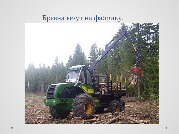 Проект для детей "Удивительные свойства дерева"