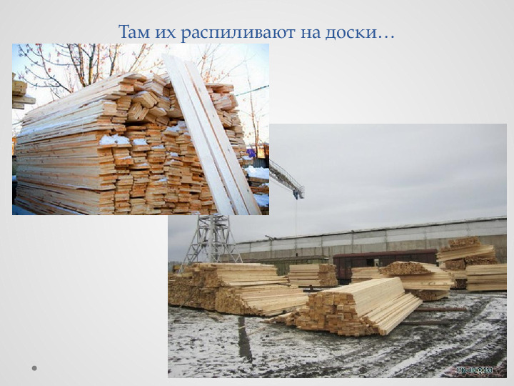 Проект для детей "Удивительные свойства дерева"