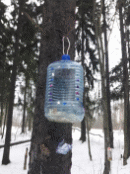 20171215_114453.jpg