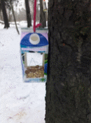 20171215_114457.jpg