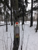 20171215_114509.jpg