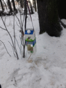 20171215_114516.jpg