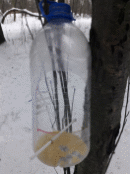 20171215_114533.jpg