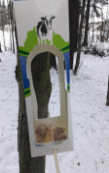 20171215_114550.jpg