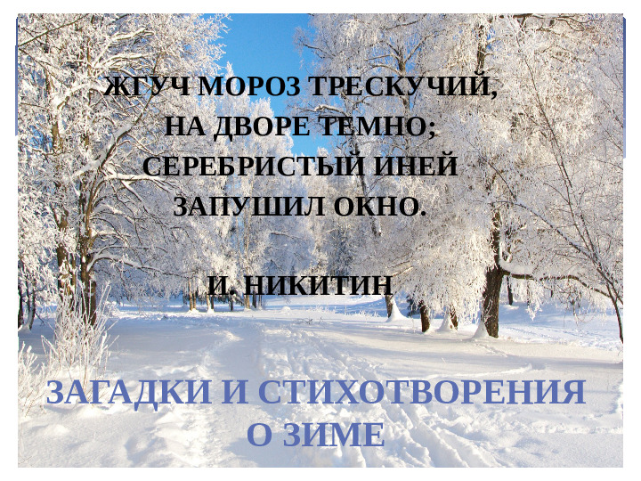 КАКОЙ БЫВАЕТ ПРИРОДА ЗИМОЙ