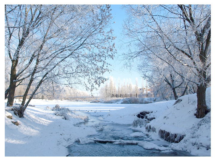 КАКОЙ БЫВАЕТ ПРИРОДА ЗИМОЙ