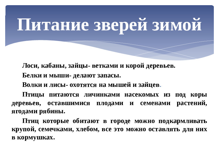 КАКОЙ БЫВАЕТ ПРИРОДА ЗИМОЙ