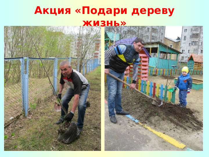 Портфолио младшей группы "Колобок"