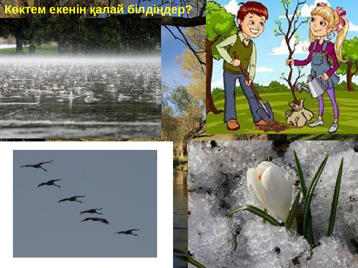 Презентация "Бізге көктем келді"